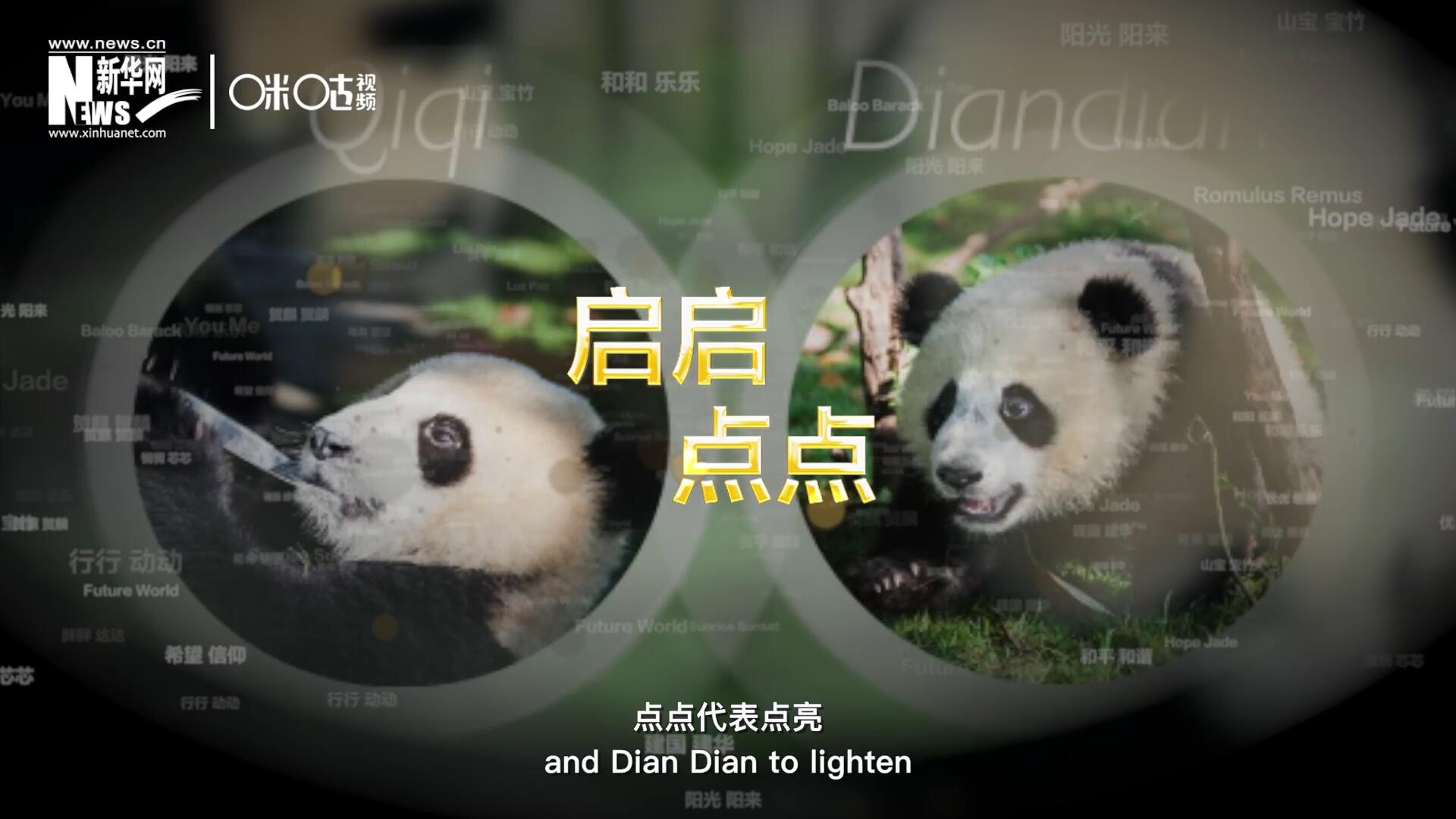 啟啟代表&ldquo;啟發(fā)&rdquo;，點(diǎn)點(diǎn)代表&ldquo;點(diǎn)亮&rdquo;，象征著2030年可持續(xù)發(fā)展議程 的&ldquo;起點(diǎn)&rdquo;，也象征著全球可持續(xù)發(fā)展路徑的新起點(diǎn)。