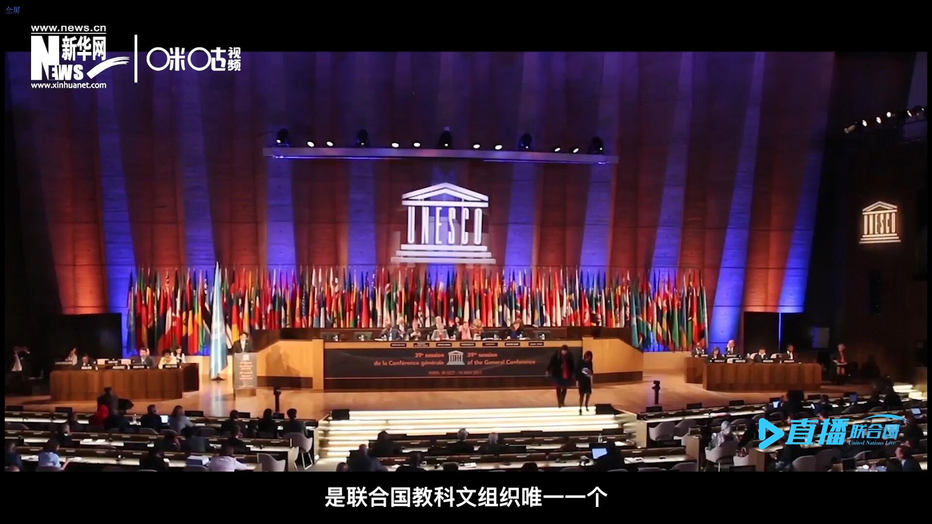 民間藝術(shù)國際組織成立于1979年，是聯(lián)合國教科文組織唯一一個以保護和挖掘國際民間藝術(shù)為工作中心的國際機構(gòu)。