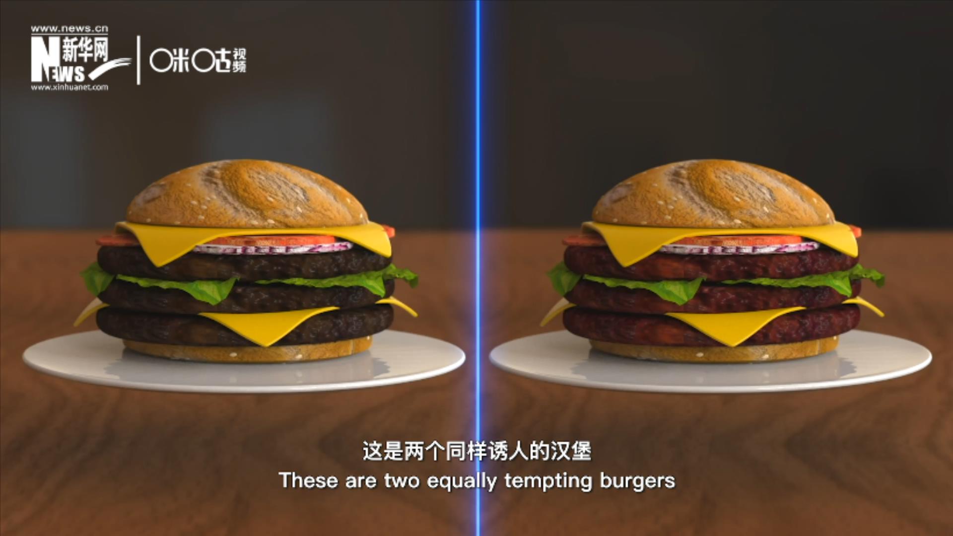 人造肉漢堡能在生產(chǎn)過(guò)程中節(jié)約水、土地、排放以及能量