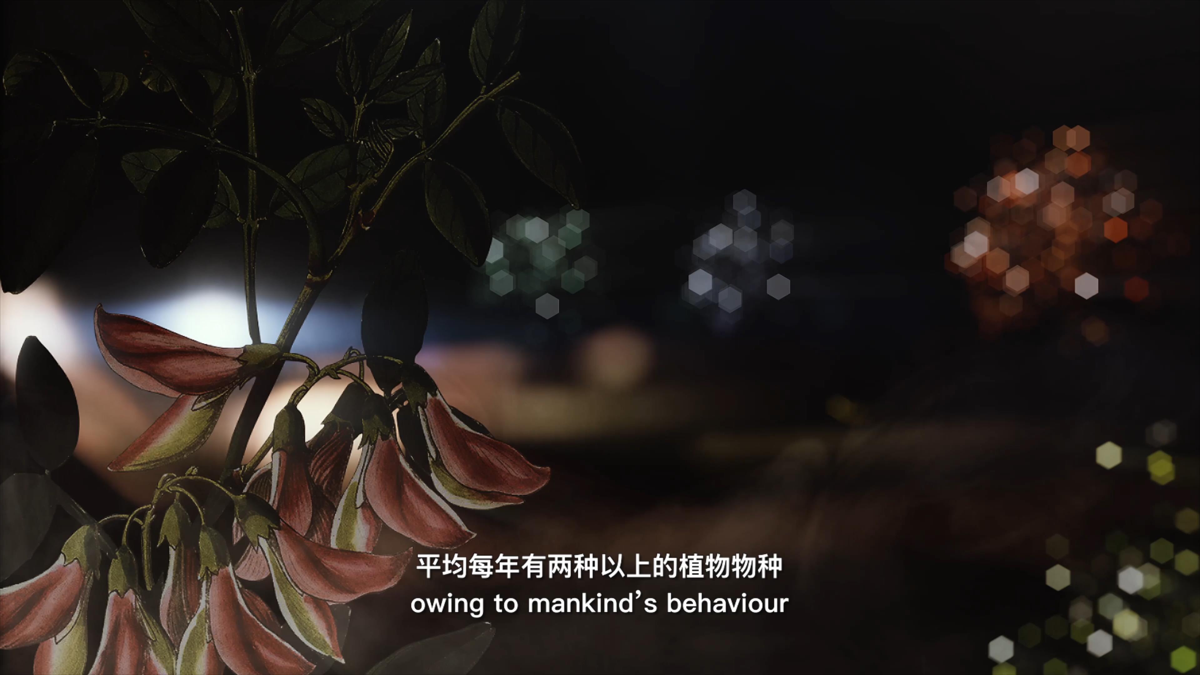 自18世紀(jì)中葉以來，許多植物物種因?yàn)槿祟惖脑蚨鴱牡厍蛏舷? />      
<div   id=