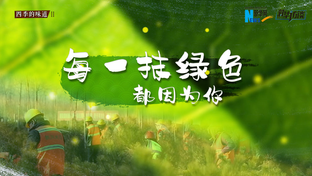 千年秀林，每一抹綠色都因為你