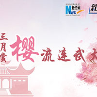 三月賞櫻，流連武大