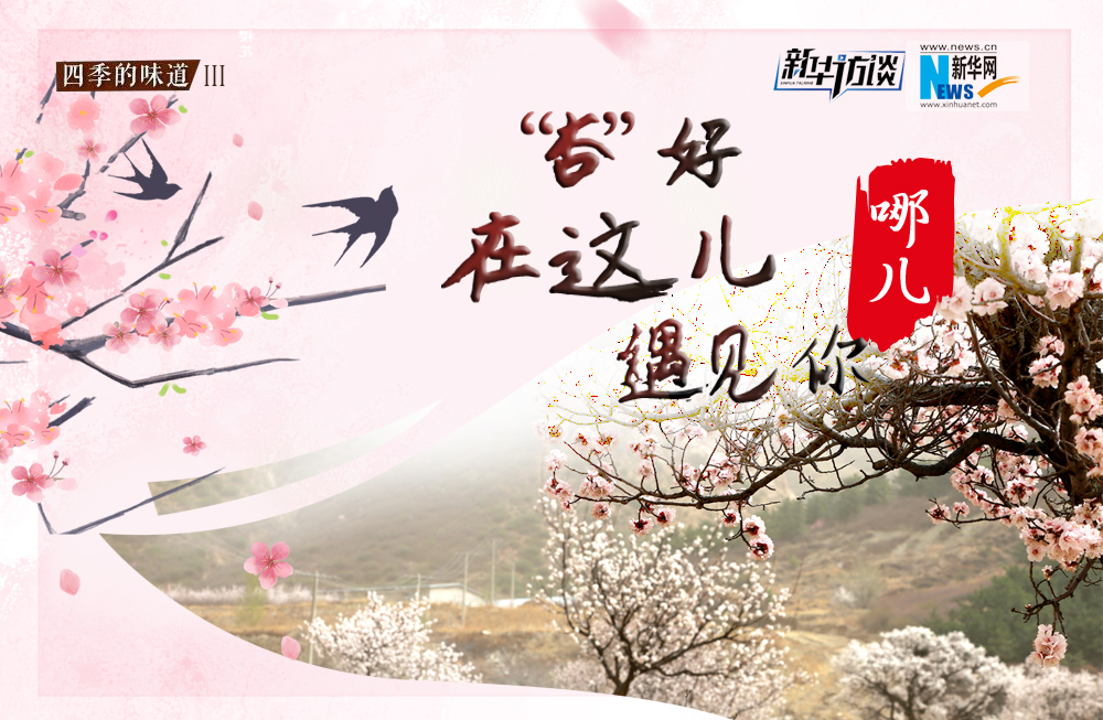 哪兒？&ldquo;杏&rdquo;好在這兒遇見你！