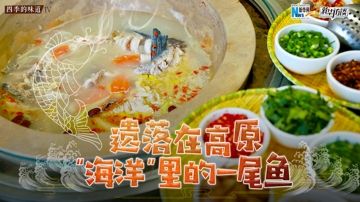 遺落在高原&ldquo;海洋&rdquo;里的一尾魚