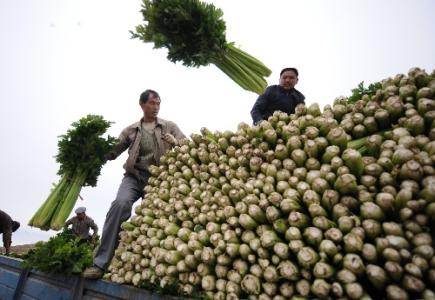 劉永富：發(fā)展產(chǎn)業(yè)脫貧仍是精準(zhǔn)扶貧、精準(zhǔn)脫貧主攻方向