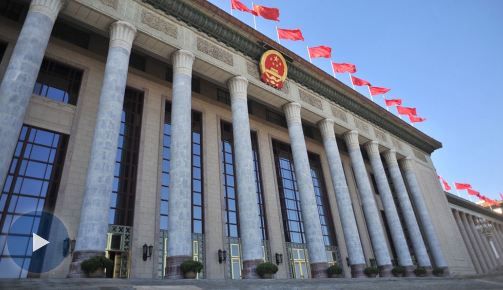 全國政協(xié)十三屆一次會(huì)議首場&ldquo;委員通道&rdquo;