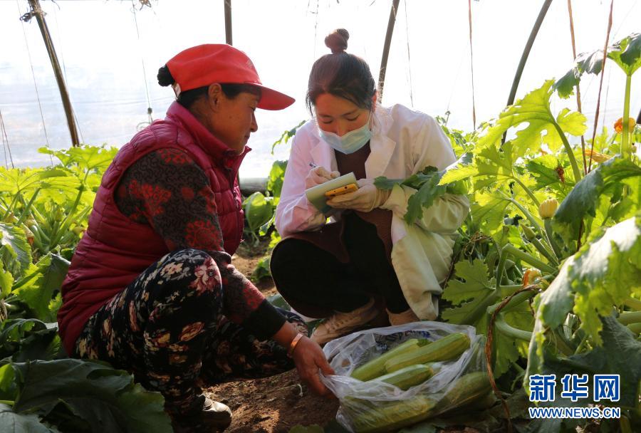 河北承德：強(qiáng)化蔬菜抽檢 守護(hù)&ldquo;舌尖上的安全&rdquo;
