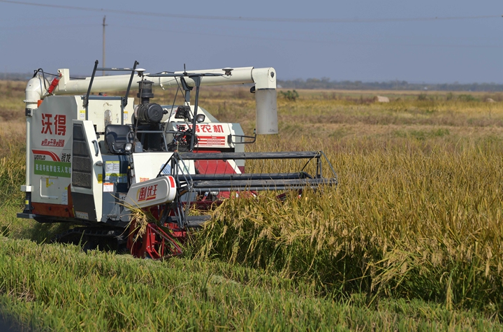 新華社評(píng)論員:穩(wěn)固耕地基本盤，打好種業(yè)翻身仗