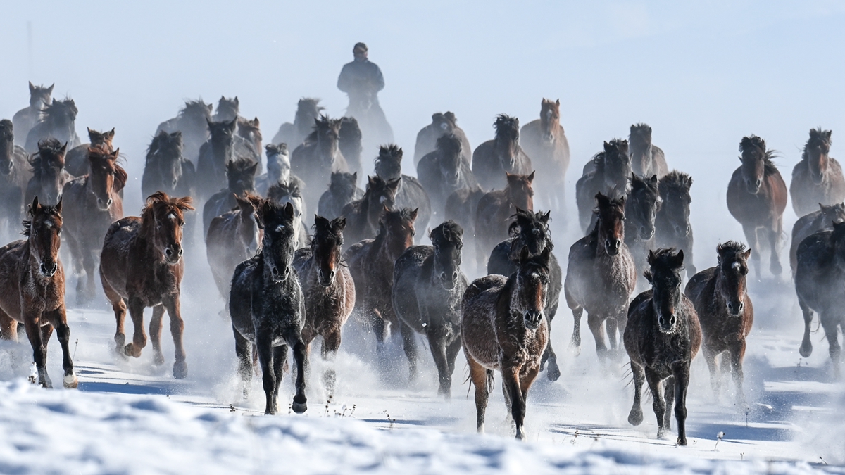 新疆&ldquo;天馬之鄉(xiāng)&rdquo;：旅游產業(yè)&ldquo;策馬奔騰&rdquo;