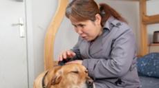 &ldquo;有你在身旁，真好&rdquo;