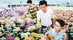 臺商眼中的改革開放：風景這邊獨好 要去，要去，要去！