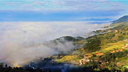 臺胞臺商熱議陜西惠臺&ldquo;60條&rdquo;：期盼落實、共享機遇