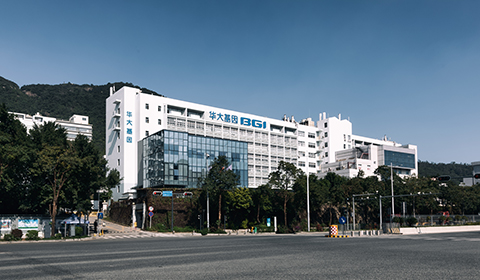 華大基因 華大基因