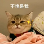 微信圖片_20240306141635 微信圖片_20240306141635