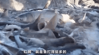 2020查干湖冬捕：什么是&ldquo;紅網(wǎng)&rdquo;