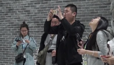 北京4月飄雪，鵝毛還是狂風任你呼喚