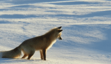 寒潮再襲 網(wǎng)友靈魂拷問：這么冷為何還不下雪？