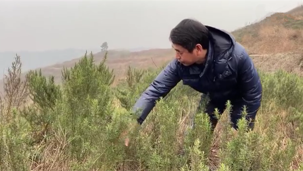 新春走基層｜脫貧后，駐村扶貧隊(duì)長在干啥？