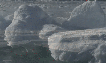 聯(lián)合國(guó)環(huán)境署發(fā)布全球環(huán)境報(bào)告：人類(lèi)對(duì)自然的&ldquo;自殺式戰(zhàn)爭(zhēng)&rdquo;釀成三大危機(jī)