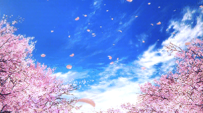 寧波這個(gè)地方早櫻花開成海，滿足你對(duì)春天的所有想象