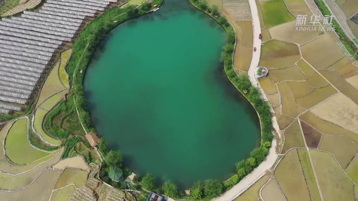 稻田新插，這里的山村美翻了！