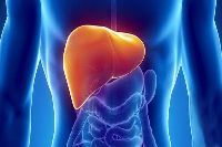 【健康解碼】轉(zhuǎn)氨酶輕度升高要不要緊？