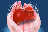 【健康解碼】轉(zhuǎn)氨酶正常肝臟就一定正常嗎？