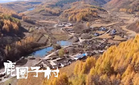 探秘關(guān)東人家，畫一個童話里的秋天