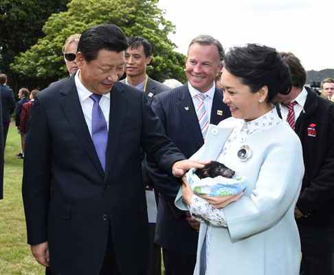 11月18日，國家主席習(xí)近平在澳大利亞塔斯馬尼亞州與朗塞斯頓市斯科奇－歐克伯恩小學(xué)的小學(xué)生共同植樹。這是習(xí)近平和夫人彭麗媛植樹后撫摸袋獾。新華社記者 馬占成 攝