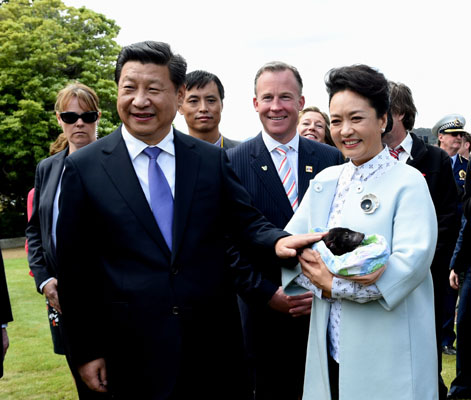 11月18日，國家主席習(xí)近平在澳大利亞塔斯馬尼亞州與朗塞斯頓市斯科奇－歐克伯恩小學(xué)的小學(xué)生共同植樹。這是習(xí)近平和夫人彭麗媛植樹后撫摸袋獾。新華社記者 饒愛民 攝