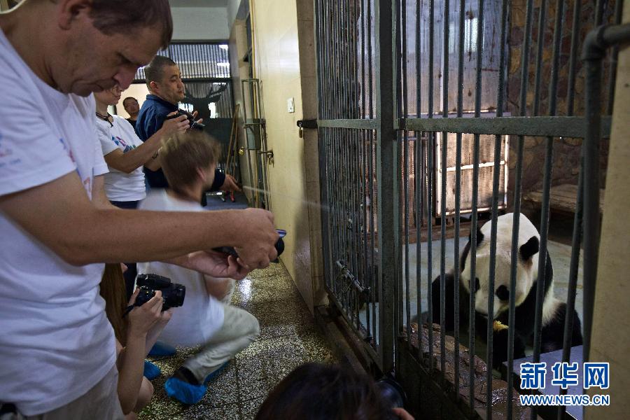 （晚報(bào)）（2）&ldquo;歐洲熊貓粉絲四川探親之旅&rdquo;自駕團(tuán)抵達(dá)成都