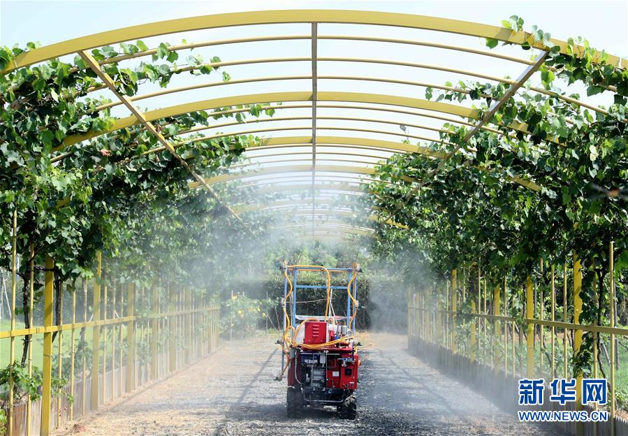 (杭州G20)(6)中外媒體聚焦杭州