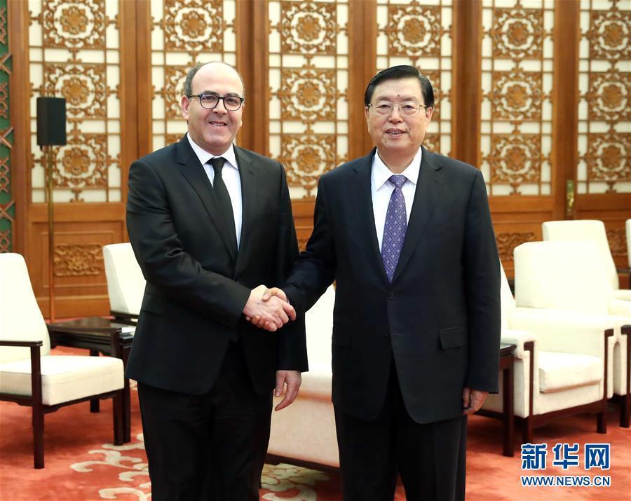 12月20日，全國人大常委會委員長張德江在北京人民大會堂會見摩洛哥參議長本希馬。新華社記者劉衛(wèi)兵攝