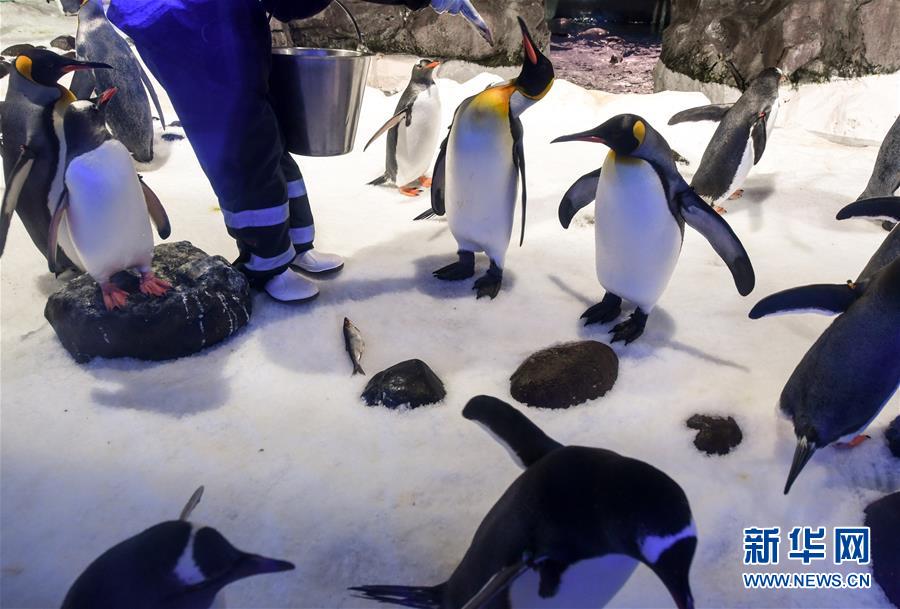 (國(guó)際·一周看天下)海洋館