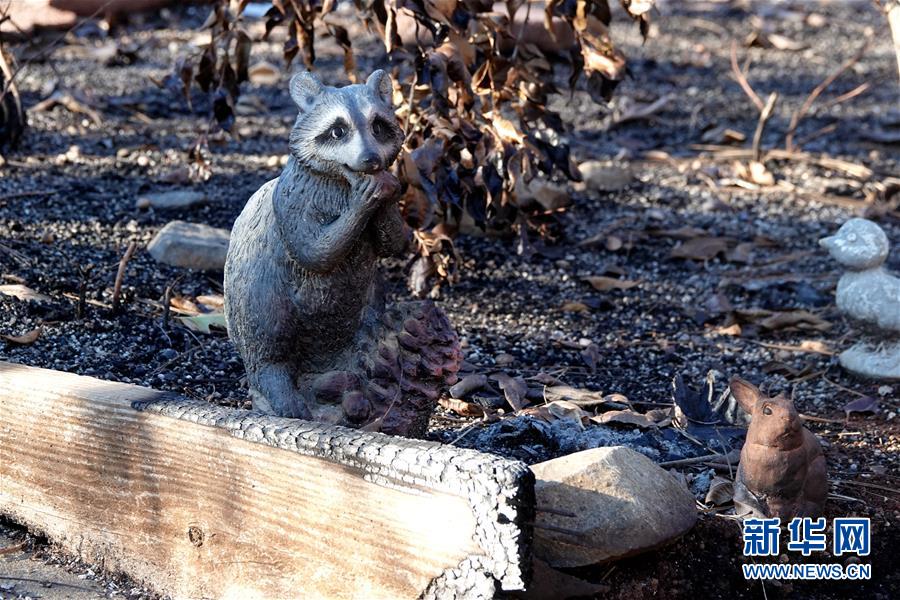 （國際&middot;圖文互動）（4）一場山火，讓這個冬天格外冷&mdash;&mdash;探訪美國加州山火災(zāi)區(qū)