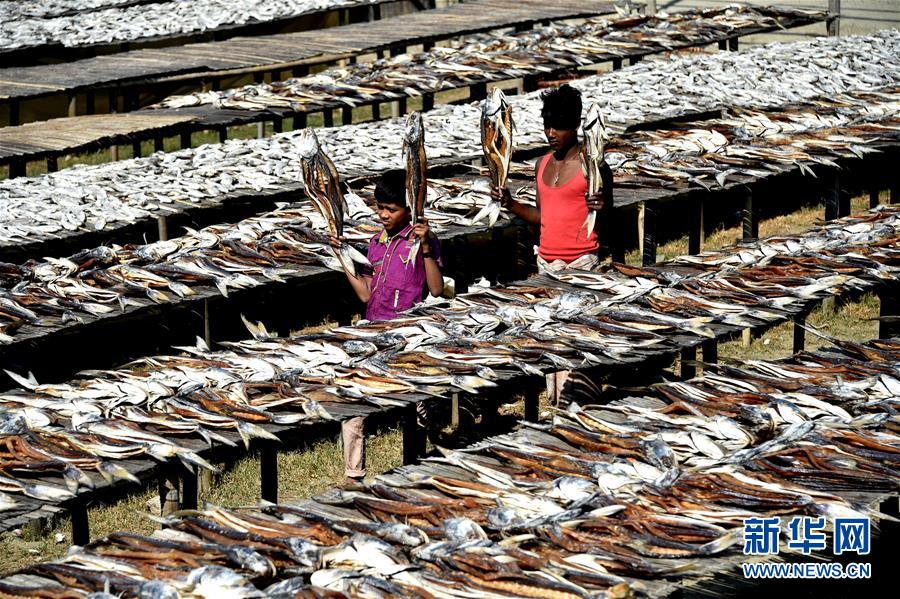 （國(guó)際&middot;一周看天下）曬魚