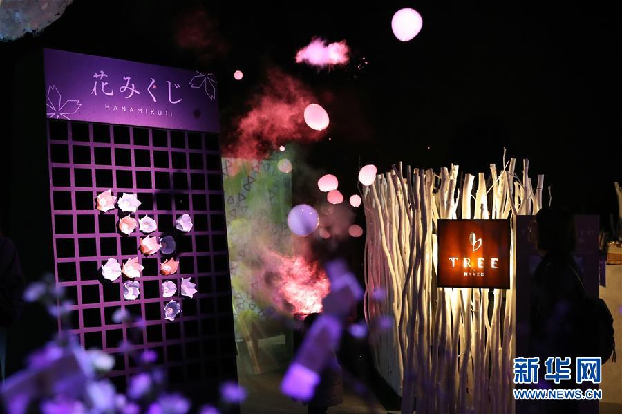 （國(guó)際）（2）日本東京：寒冬時(shí)節(jié)賞&ldquo;繁花&rdquo; 