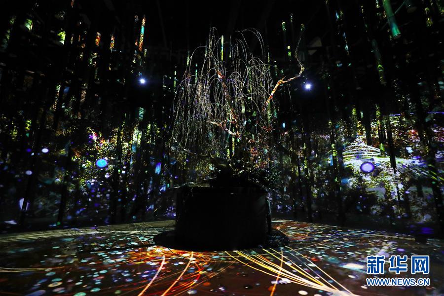 （國際）（4）日本東京：寒冬時節(jié)賞&ldquo;繁花&rdquo; 