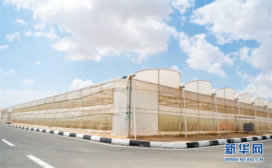 (國際·“一帶一路”高峰論壇·圖文互動)(1)荒漠正在成為瓜果飄香的綠洲——記中國國機(jī)重工埃及現(xiàn)代農(nóng)業(yè)溫室項(xiàng)目