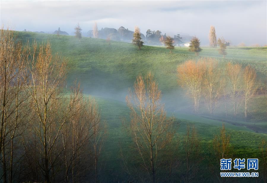 （國際&middot;一周看天下）晨霧