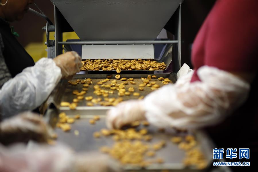 (國際·圖文互動)(8)通訊:期待美中盡早達成貿(mào)易協(xié)議——颶風(fēng)和關(guān)稅夾擊下的美國山核桃種植戶盼重回中國市場