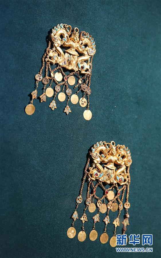 （港澳臺(tái)&middot;圖文互動(dòng)）（5）特寫(xiě)：&ldquo;流浪&rdquo;到香港的阿富汗國(guó)寶