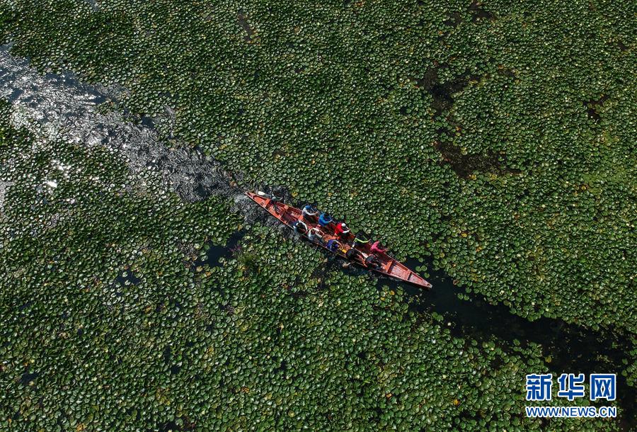 （國際&middot;年終報道）（8）2019，精&ldquo;彩&rdquo;紛呈