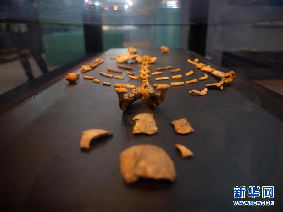 (國際)(1)探訪非洲博物館