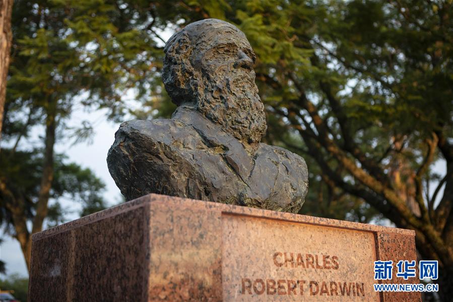 (國(guó)際·圖文互動(dòng))(1)通訊:一位中國(guó)雕塑家與拉美的不解情緣