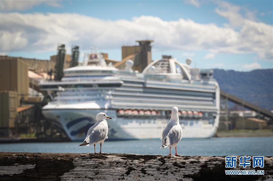 （國(guó)際疫情）（2）澳警方對(duì)&ldquo;紅寶石公主&rdquo;號(hào)郵輪展開(kāi)刑事調(diào)查