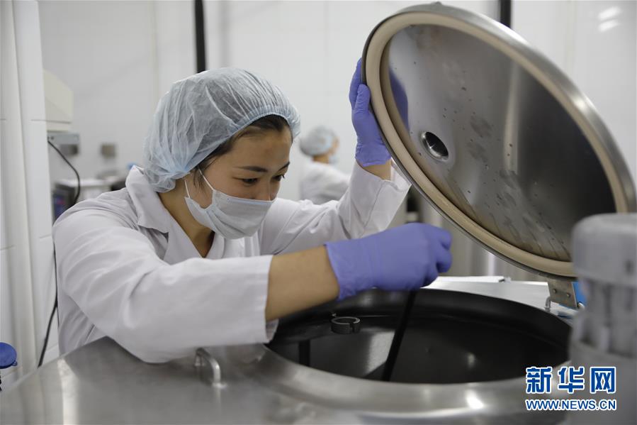 (國(guó)際·圖文互動(dòng))(5)從“先遣隊(duì)”到“正規(guī)軍”——哈薩克斯坦駱駝奶粉入華記