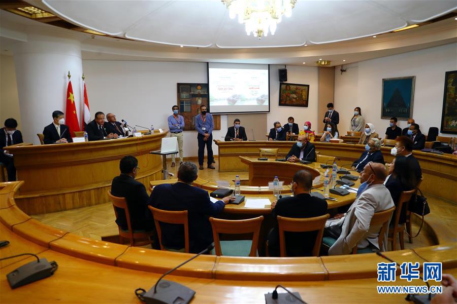 (國際·圖文互動)埃及文化部舉辦“中埃文化關系”專題研討會