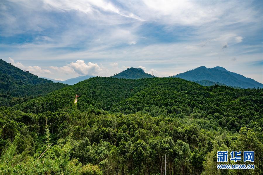 (第三屆進(jìn)博會·圖文互動)(2)專訪:進(jìn)博會提供了一個共享中國發(fā)展機(jī)遇的平臺