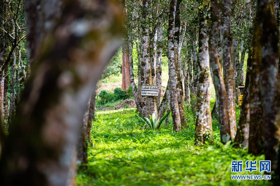 (第三屆進(jìn)博會·圖文互動)(3)專訪:進(jìn)博會提供了一個共享中國發(fā)展機(jī)遇的平臺